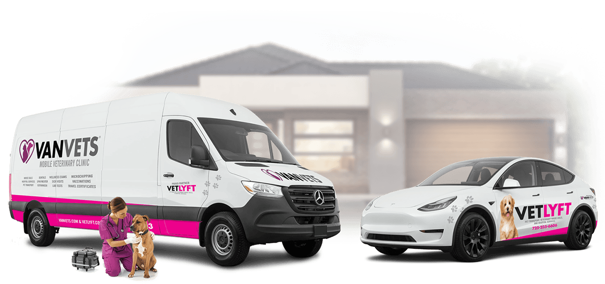 VANVETS mobile clinic and Paw Transport in front of house VANVETS mobile clinic and Paw Transport in front of house