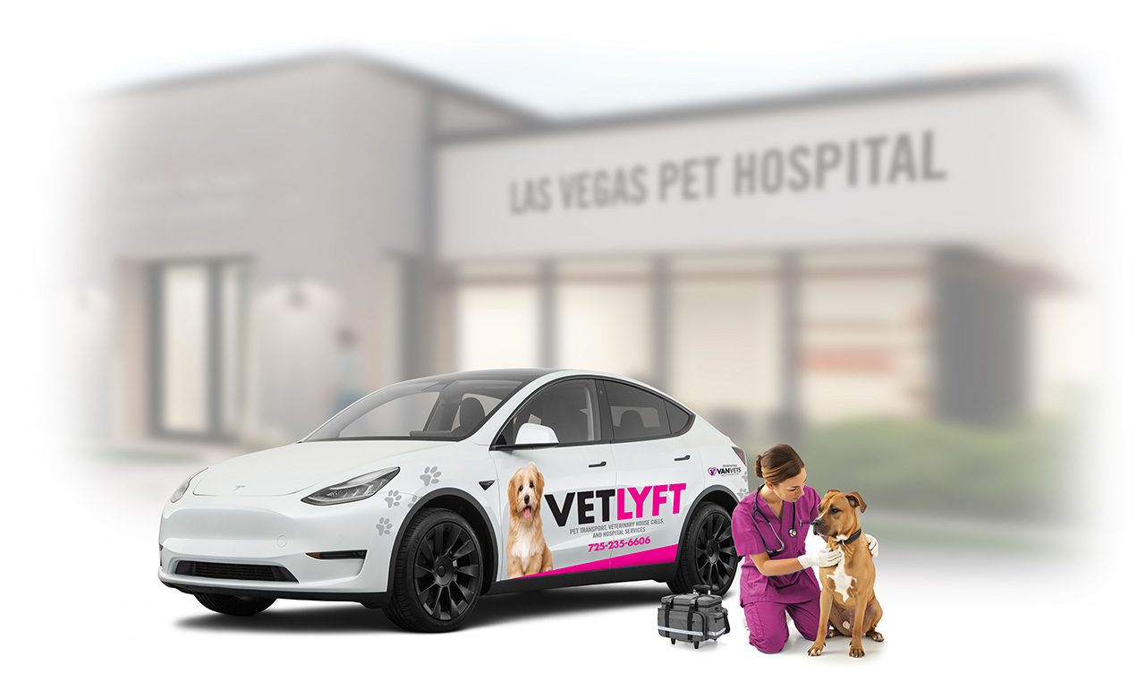 VETLYFT mobile paw transport vehicle and vet in front of hospital VETLYFT mobile paw transport vehicle and vet in front of hospital